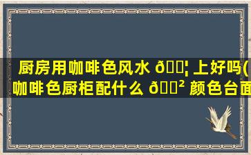 厨房用咖啡色风水 🐦 上好吗(咖啡色厨柜配什么 🌲 颜色台面好看)